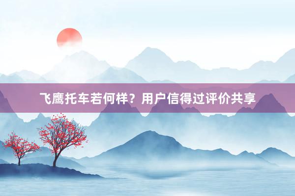 飞鹰托车若何样？用户信得过评价共享